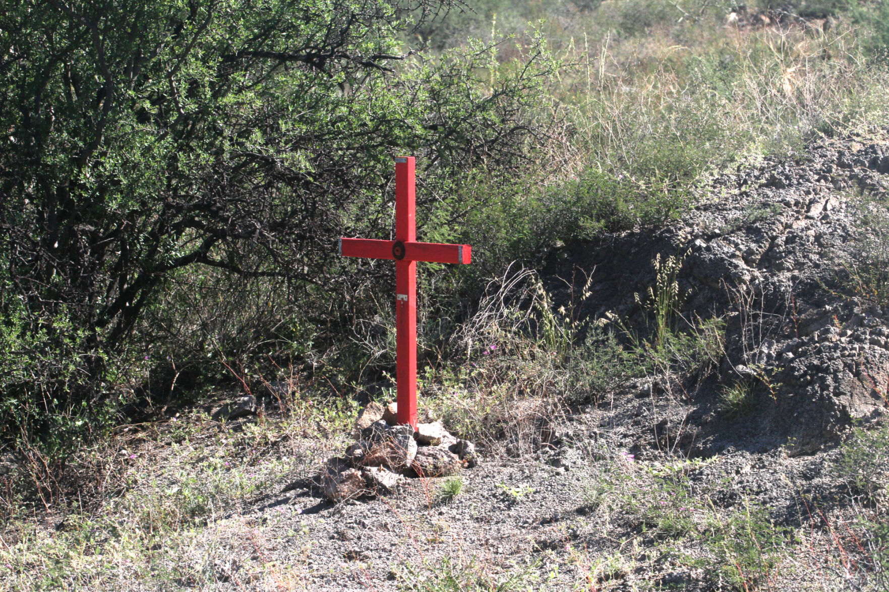 Alvaro-cross.jpg